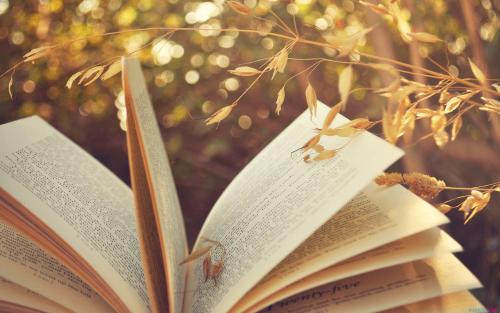 福建成人高考 报名