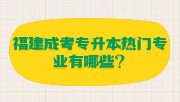 福建成考专升本热门专业