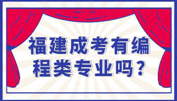 福建成考有编程类专业吗