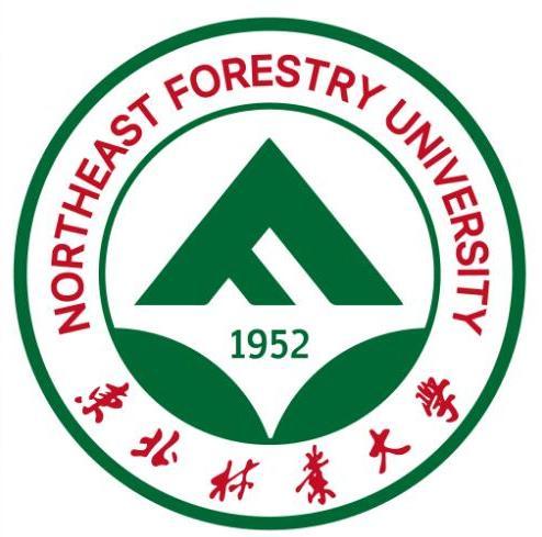 东北林业大学成教logo