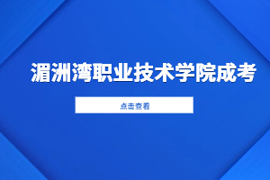 2023年湄洲湾职业技术学院成考学费收费标准是什么？